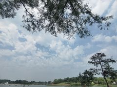 -长春北湖公园