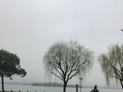 -杭州西湖柳莺里酒店