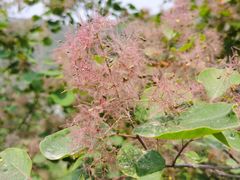 -周口店坡峰岭风景区