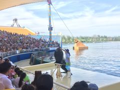 -秦皇岛乐岛海洋王国