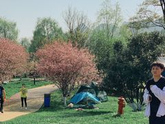 -云漫湖生态度假公园