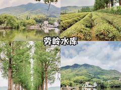 -莫干山风景区