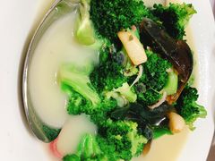 -新吉士·上海菜(浦东LCM置汇旭辉店)