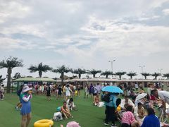 -秦皇岛乐岛海洋王国