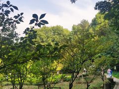 -上海佘山国家森林公园天马山园