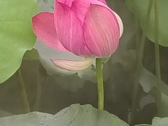 -黄兴公园