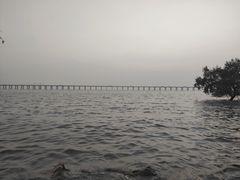 -宝安西湾红树林湿地公园