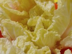 娃娃菜-楚成谷鸭馆(裕民店)