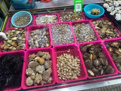 -板桥海鲜广场(文明东店)
