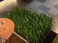 活豆苗-湊湊火锅·茶憩(上海合生汇店)