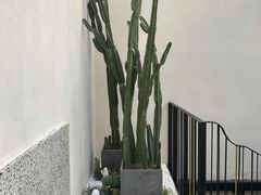 -大树餐厅(红旗街万达店)