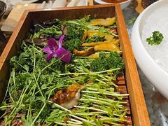 -慢丽江·云南野生菌土鸡锅(西山店)
