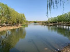 -东郊湿地公园