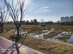 -澹台湖公园