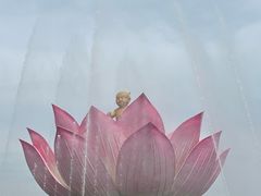 -荷花大观园