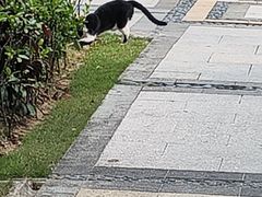 -张钰强中医正骨推拿连锁(唐家人才公寓店)