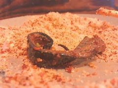 -晓靖轩烧烤(沙河风情店)