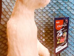 -将太无二(朝阳大悦城店)