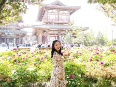 景点-西安青龙寺遗址景区