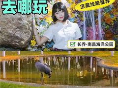 -南昌海洋公园