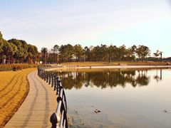 -上海昆虫博物馆