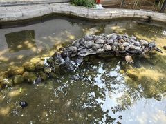 -红螺寺