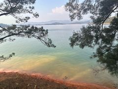 -广州市流溪河国家森林公园