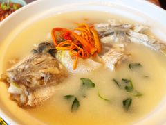 养颜白汁河豚-肆月河豚·新淮扬(金融街店)