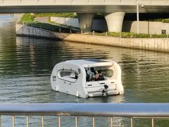-金鸡湖景区