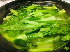 老坛砂锅青菜-老宁波1381餐厅(宏泰广场店)