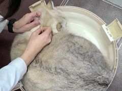 -联合动物医院(光谷诊疗中心)
