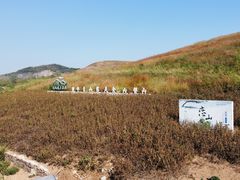 -恋山坝上草原