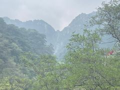 -泰山风景名胜区