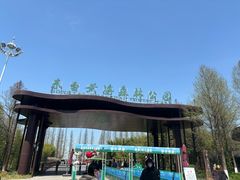 -黄海国家森林公园