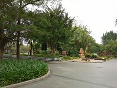 -公园茶楼粤式点心