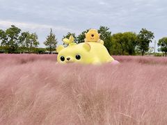 -嘉北郊野公园