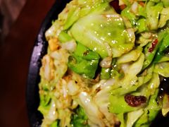 油渣圆白菜-望京一号(菜户营店)