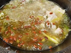 鲜椒麻辣青锅-鲜椒鱼·雅安地标性美食