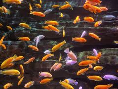 -多彩贵州城极地海洋世界