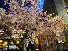景观位-桂满隴·站立的杭州(无锡八佰伴店)