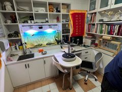 -西安京西宠物医院·瘫痪·疑难杂症