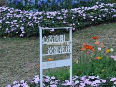 -云溪植物园