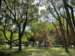 -蠡湖中央公园