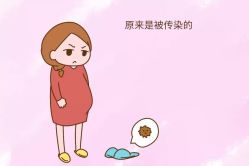 -邢台妇产医院