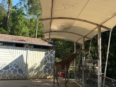 -泉州海丝野生动物世界