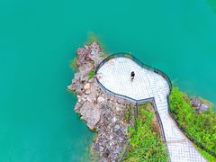 -水濂山森林公园