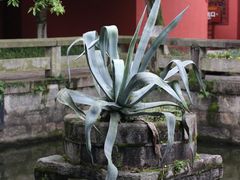 -南岳衡山风景名胜区-南岳大庙