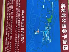 -桃花岭景区