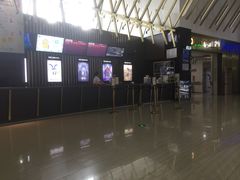 -金逸影城(武汉人信汇IMAX店)