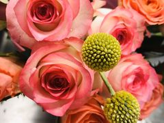 -双季花艺园艺市场(浦东店)